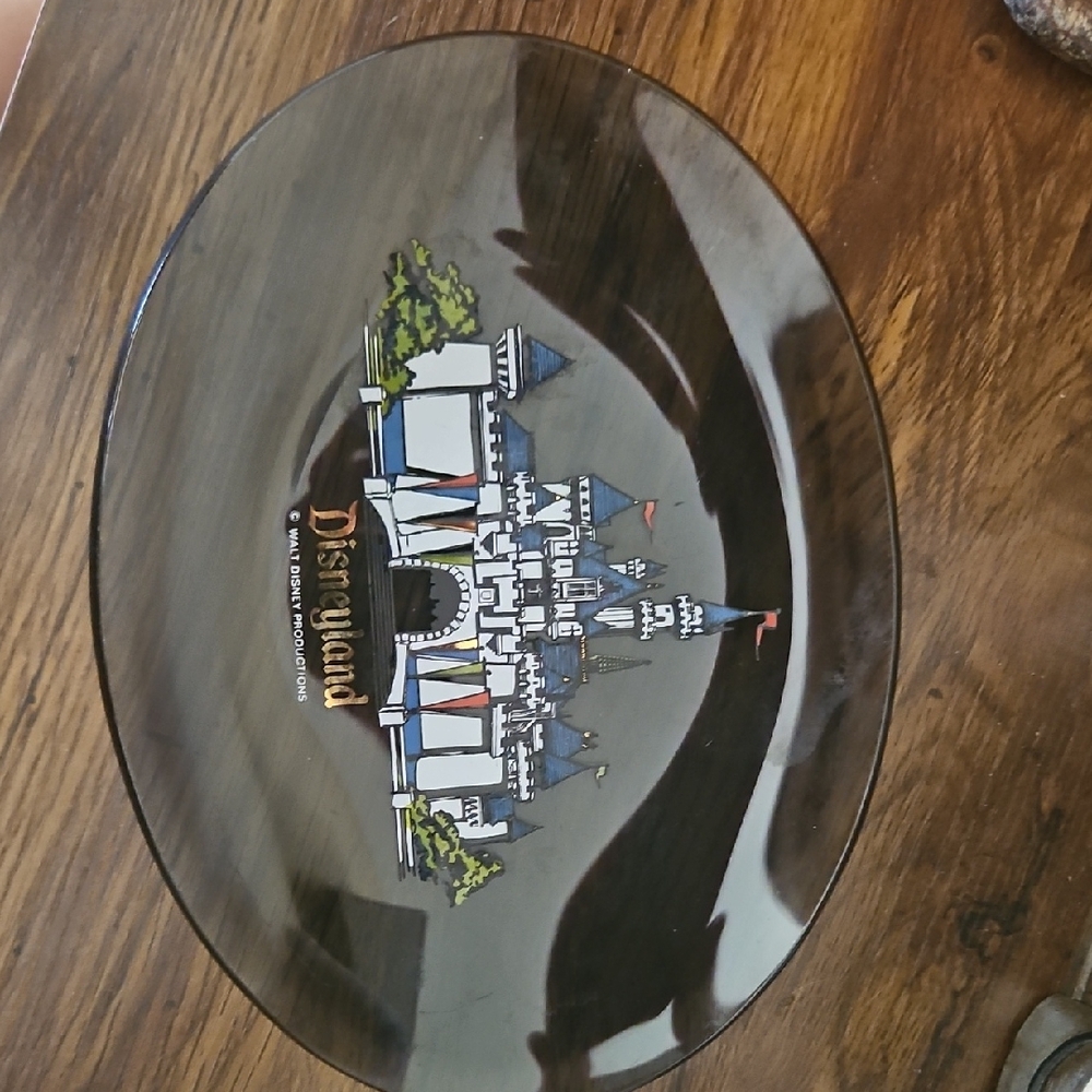 Disneyland Souvenir Plate
